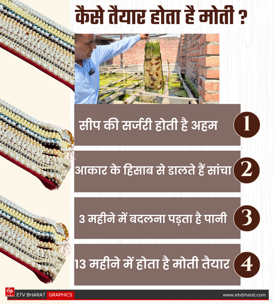 Haryana Kurukshetra Youth left engineering jobs earning crores of rupees from pearl farming in Home supplying in Hyderabad Delhi Mumbai and abroad