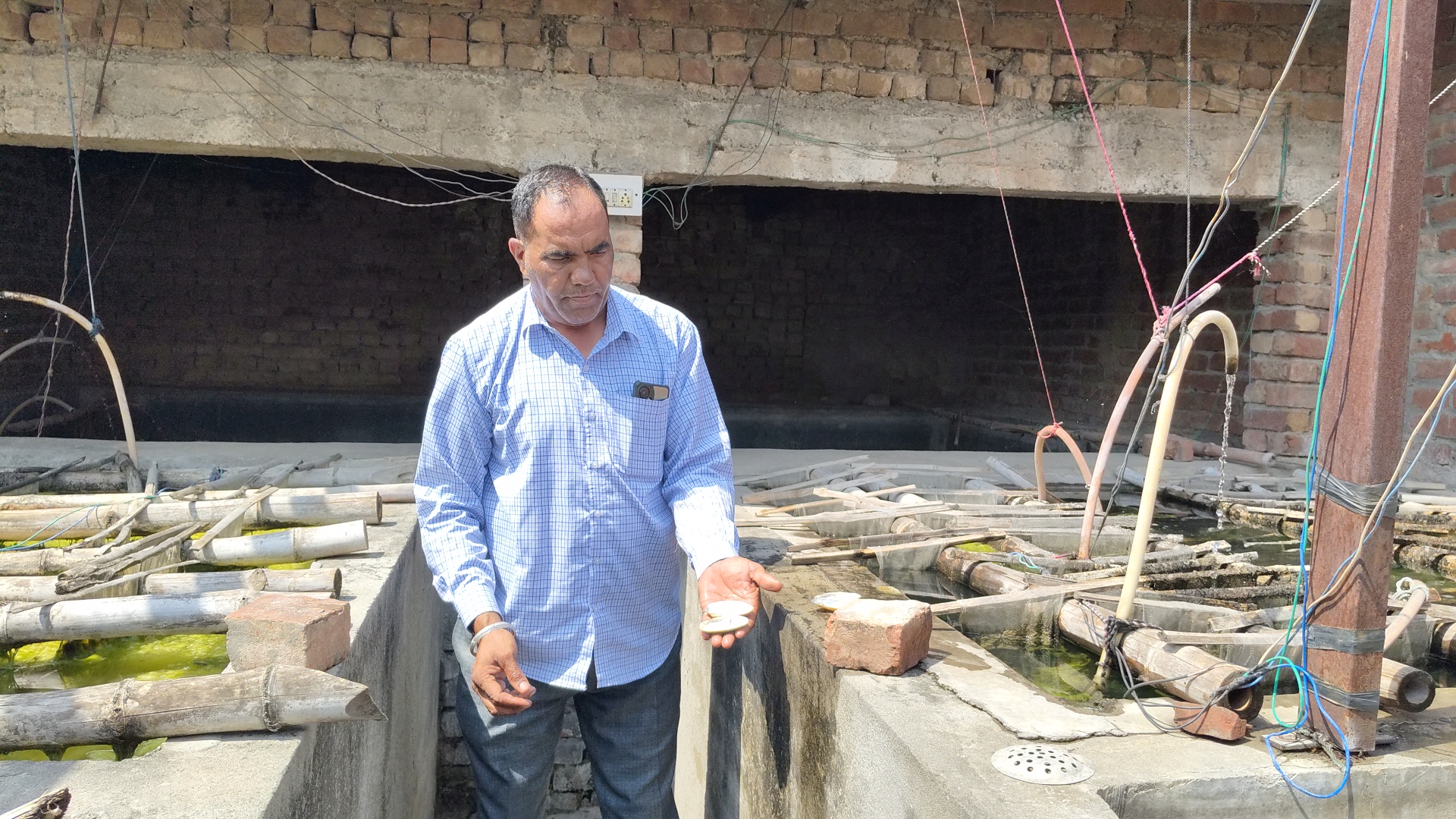 Haryana Kurukshetra Youth left engineering jobs earning crores of rupees from pearl farming supplying in Hyderabad Delhi Mumbai and abroad