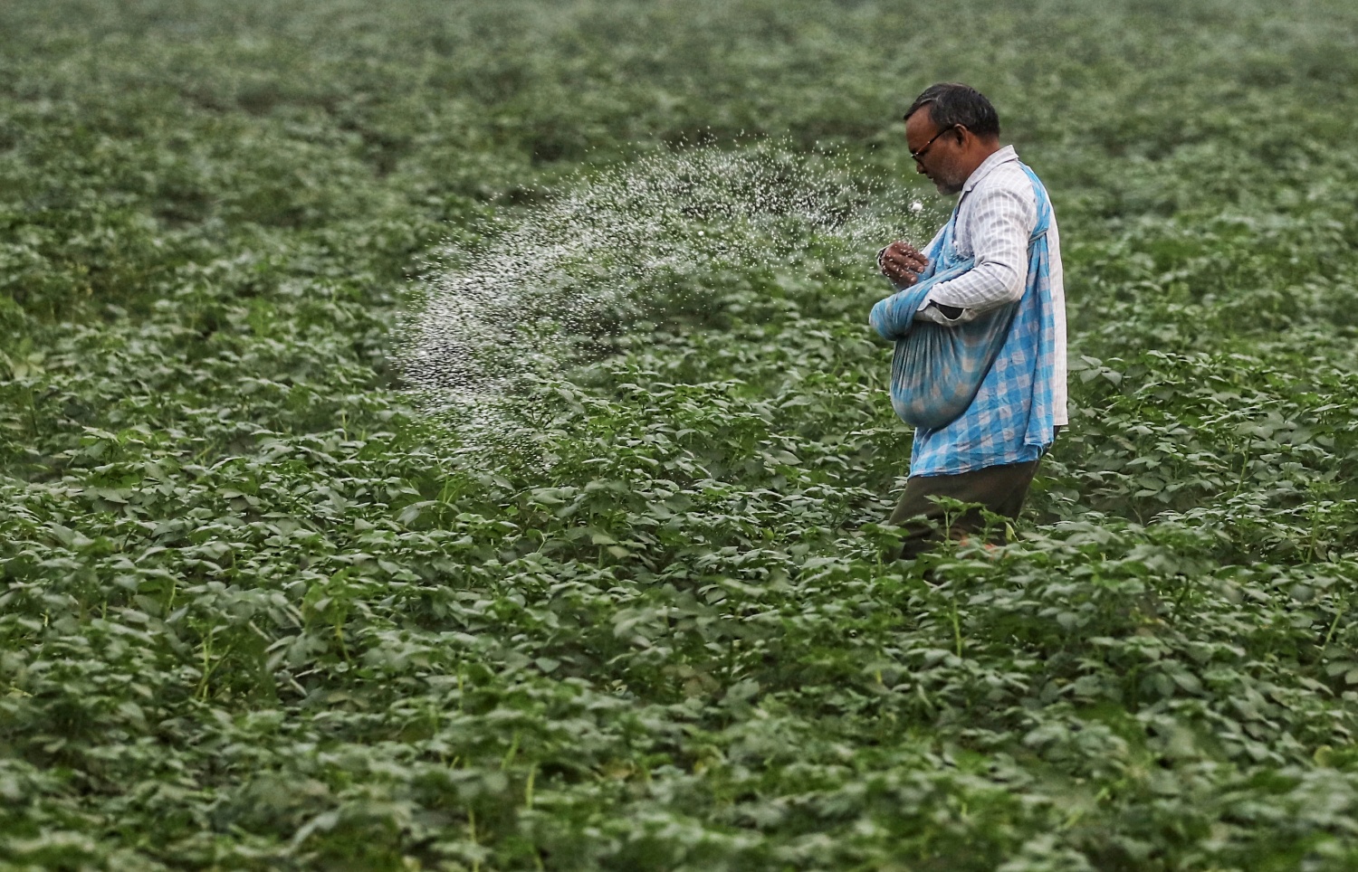 Analysis As Iran War Eats Into India Urea Supply What Are Our Options