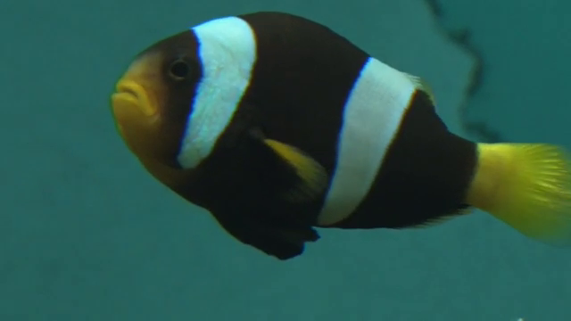 Heat Wave in Dehradun Zoo