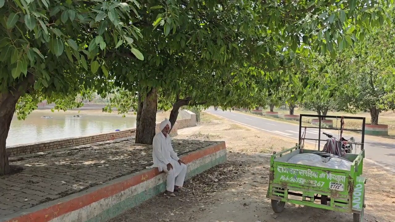 Old Man Initiative To Plant Trees