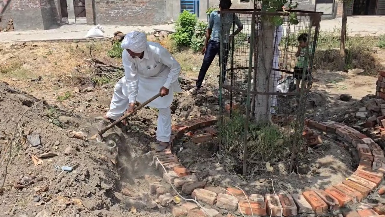 Old Man Initiative To Plant Trees