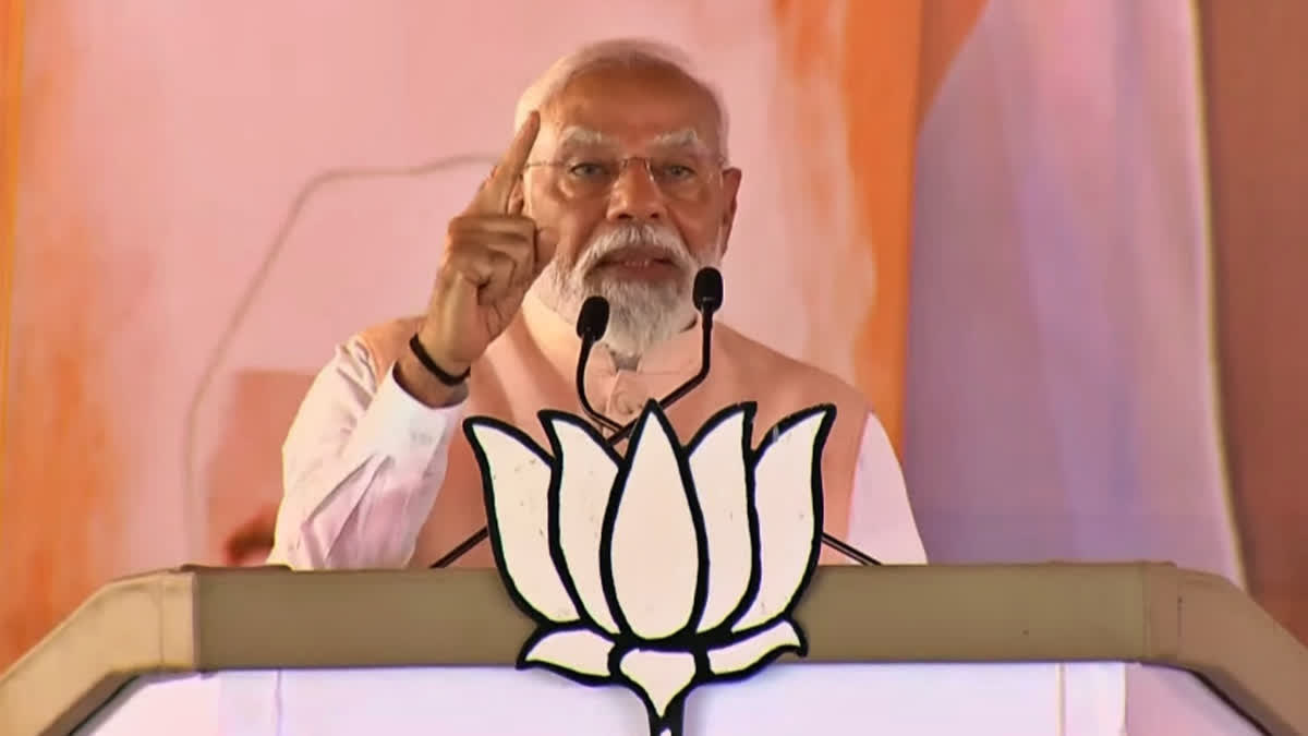 'Nobody Knew of Mahatma Gandhi till a Movie Was Made about Him': PM Modi Prime Minister Narendra Modi said in an interview that nobody knew Mahatma Gandhi— the Father of the Nation — in post-colonial India until British director Richard Attenborough's Academy Award-winning 1982 magnum opus ‘Gandhi’ was released.