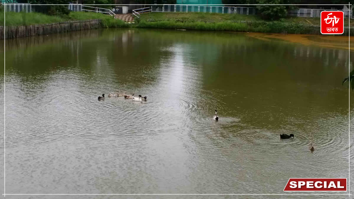 historic paltan pond