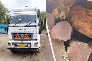 SINGRAULI WOOD SMUGGLING TO HARYANA
