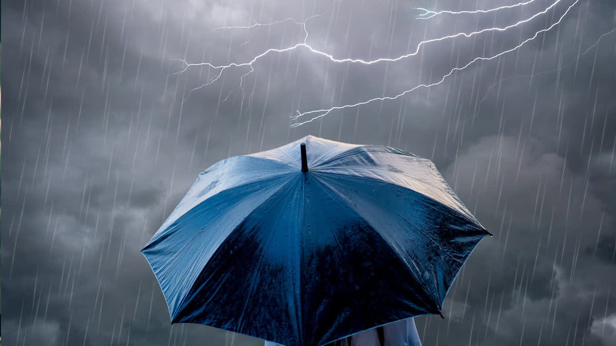 Rain