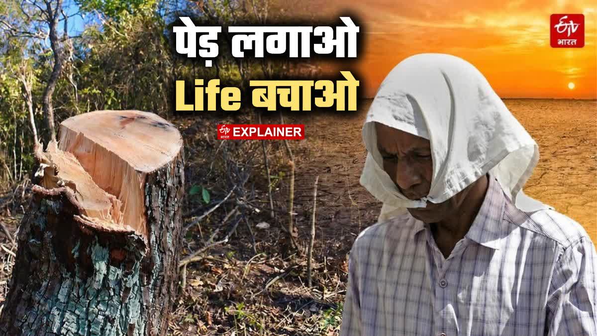 Etv Bharat