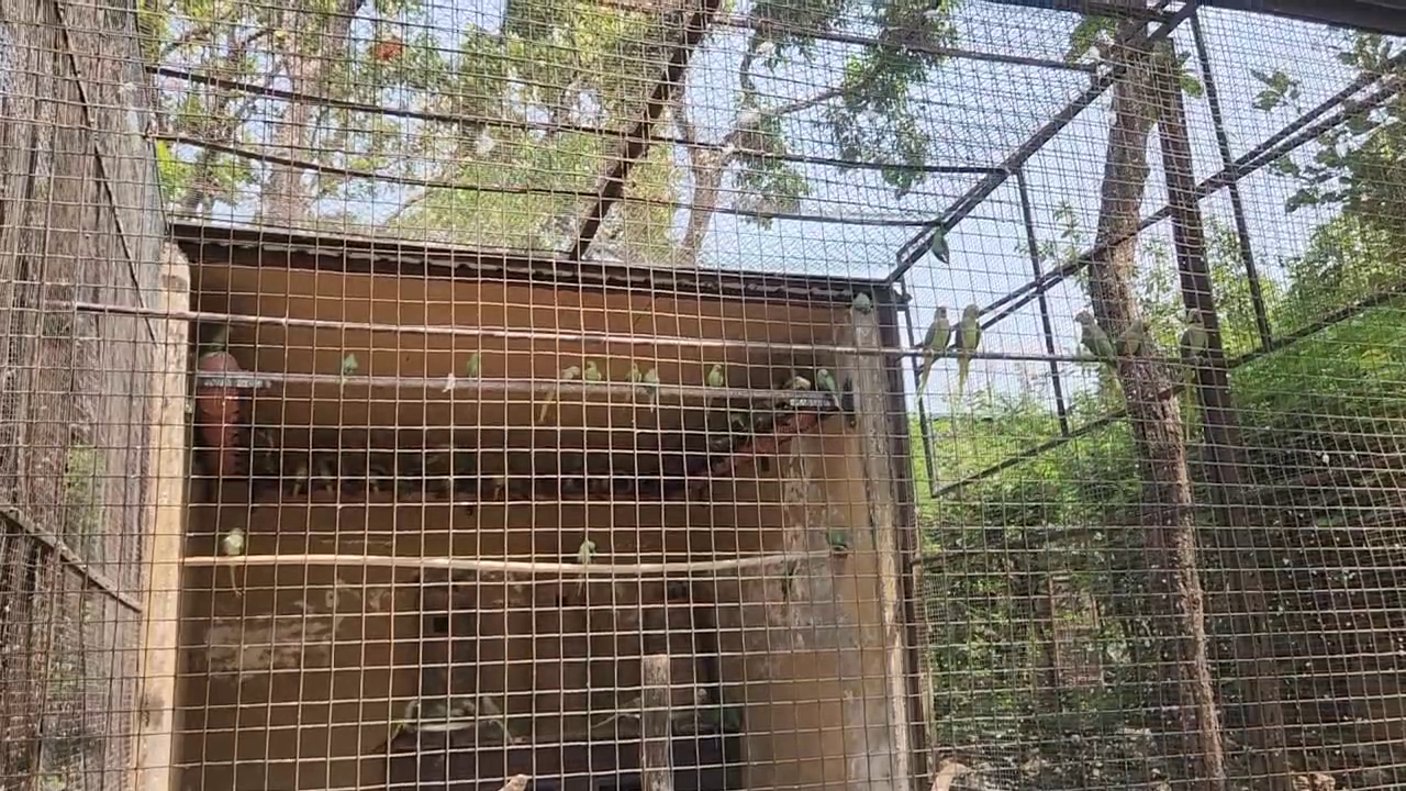 DEHRADUN ZOO