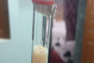 Prophet Muhammad's Hair And Footprint Discovered At Bihar Khanqah During Gyan Bharatam Survey