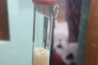 முஹம்மது நபிகள் நாயகத்தின் தாடி முடி