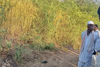 Vijayapura Shaken by Shocking Property Dispute: 6 Brutally Murdered