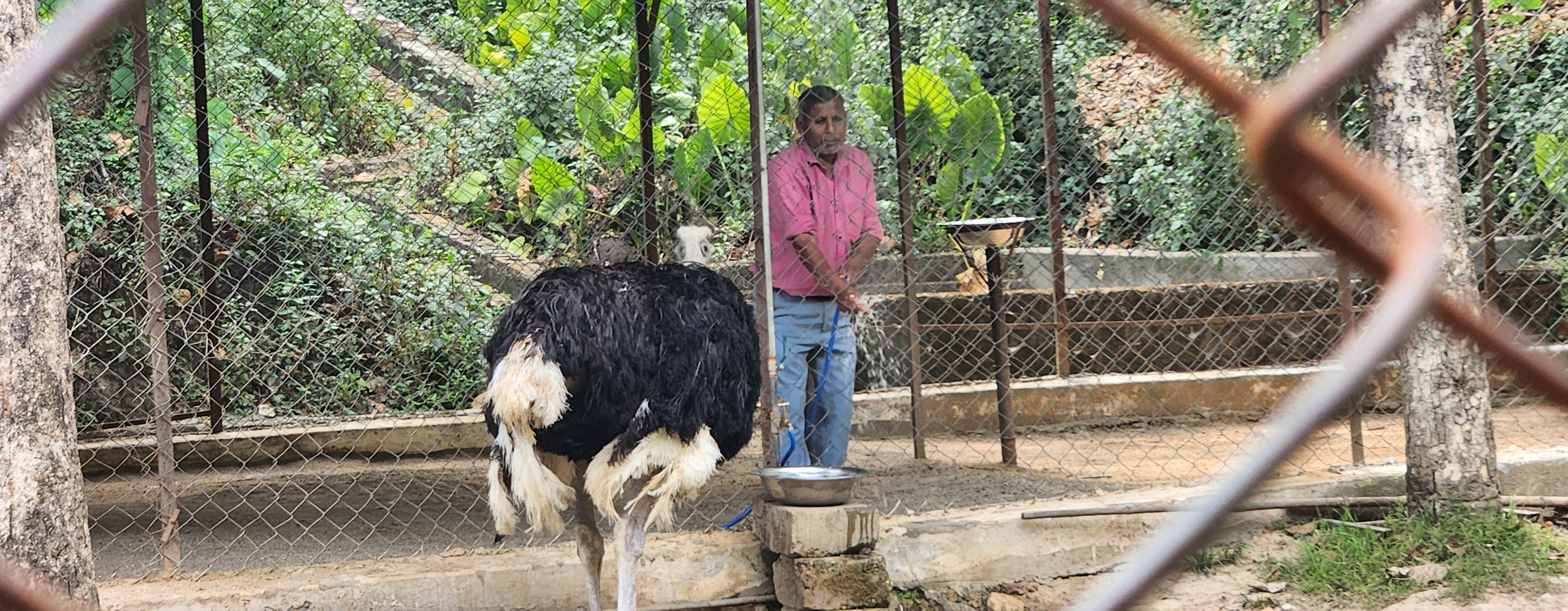 Dehradun Zoo
