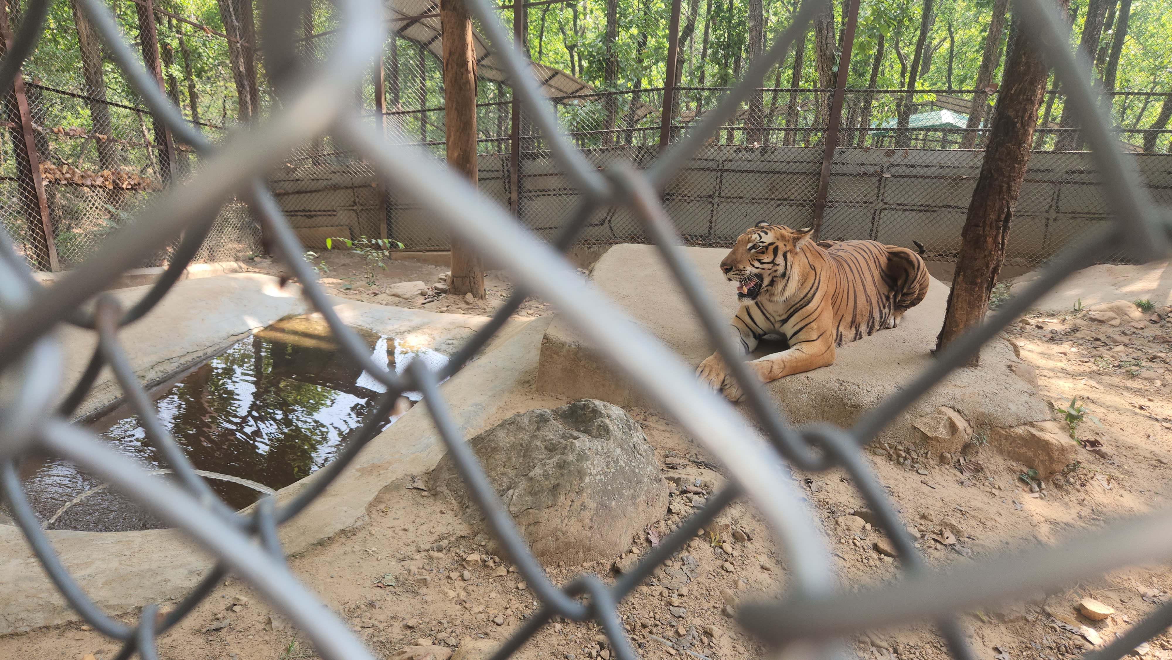 Dehradun Zoo