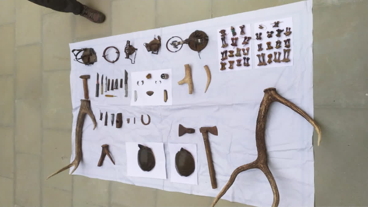 The illegal items seized during the raid.