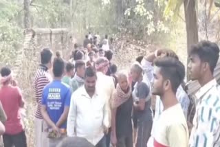 ELEPHANT ATTACKED IN KODERMA
