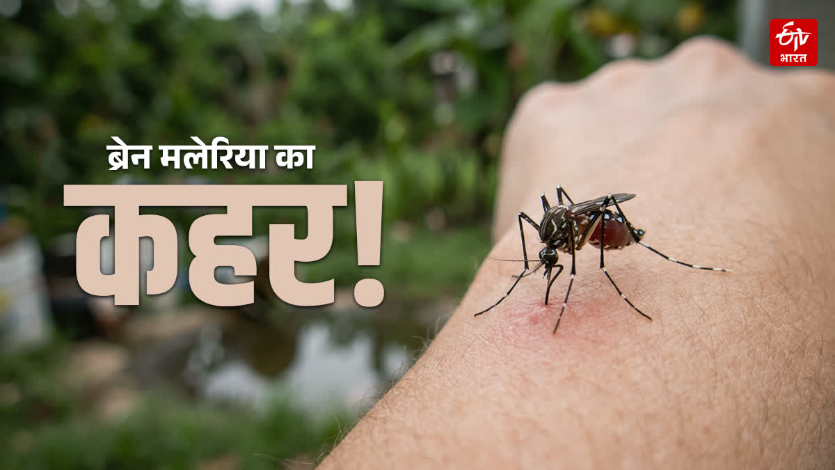 cerebral malaria