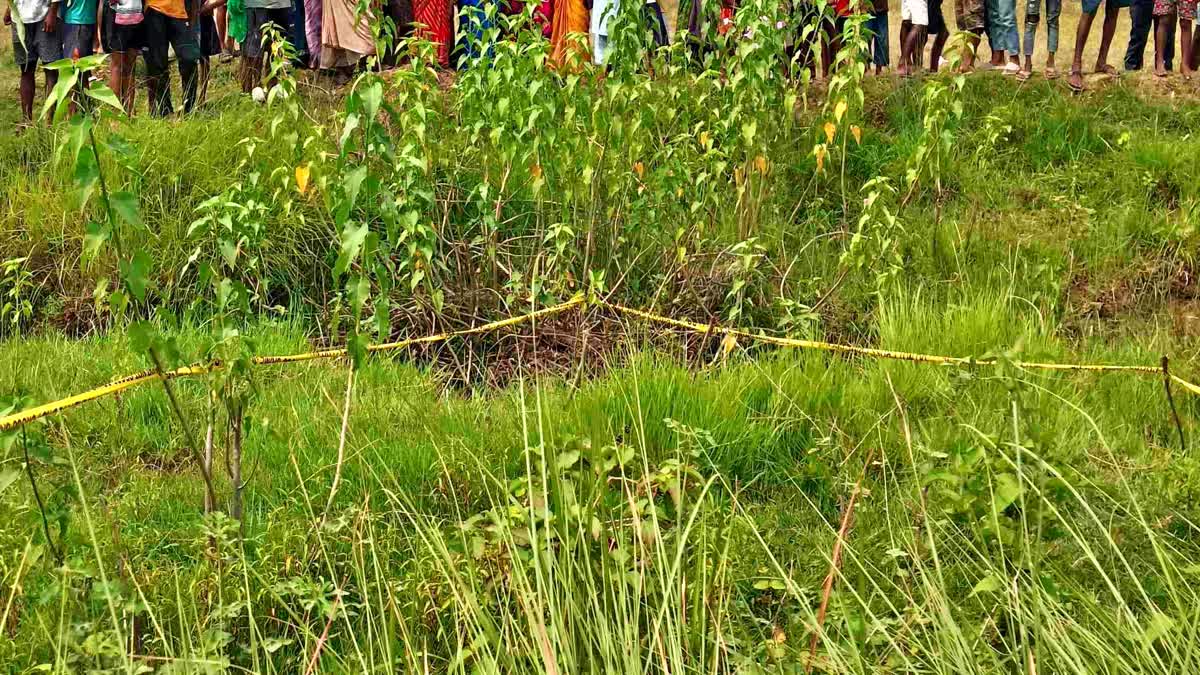 Banka Murder