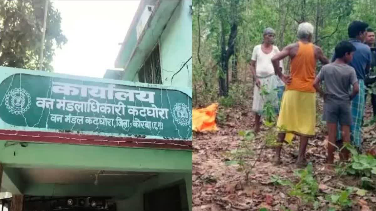 Youth dies in elephant attack