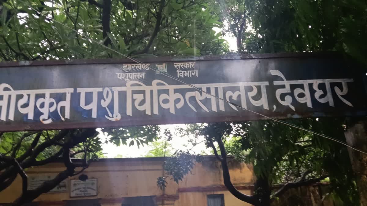 STAFF CRISIS AT VETERINARY HOSPITAL