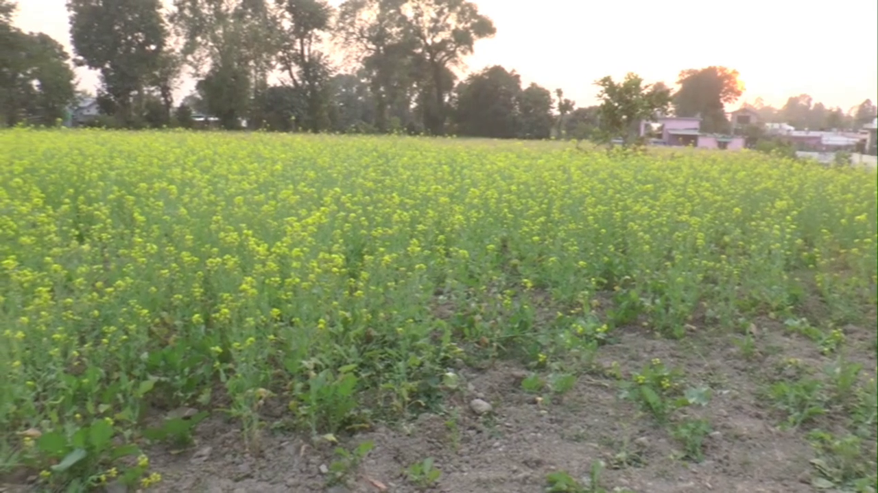 AGRICULTURE DRONE SCAM UTTARAKHAND