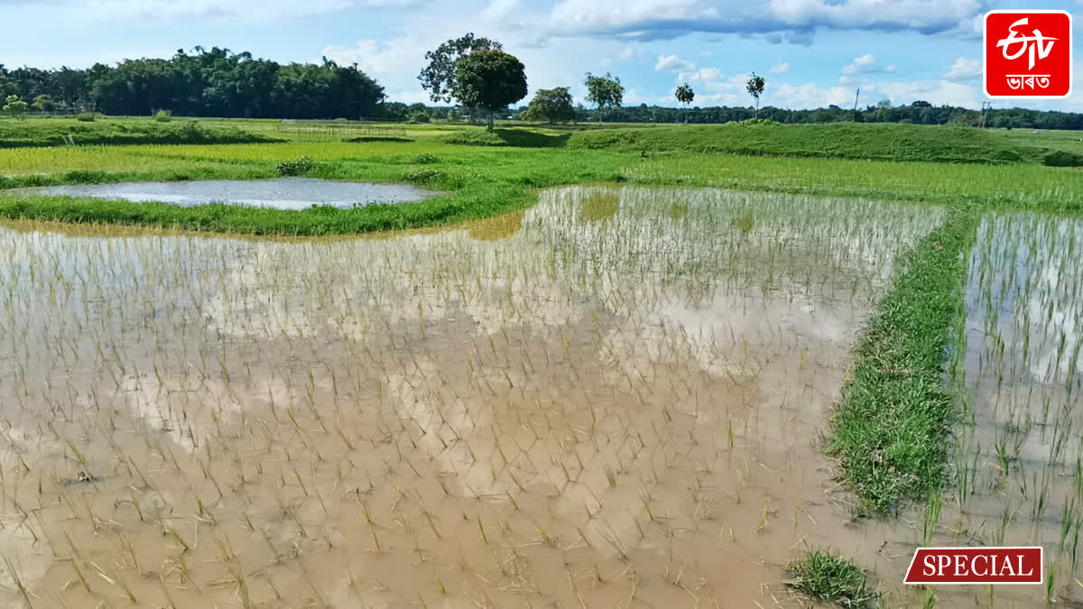 Historical Rahdhala pathar in Golaghat