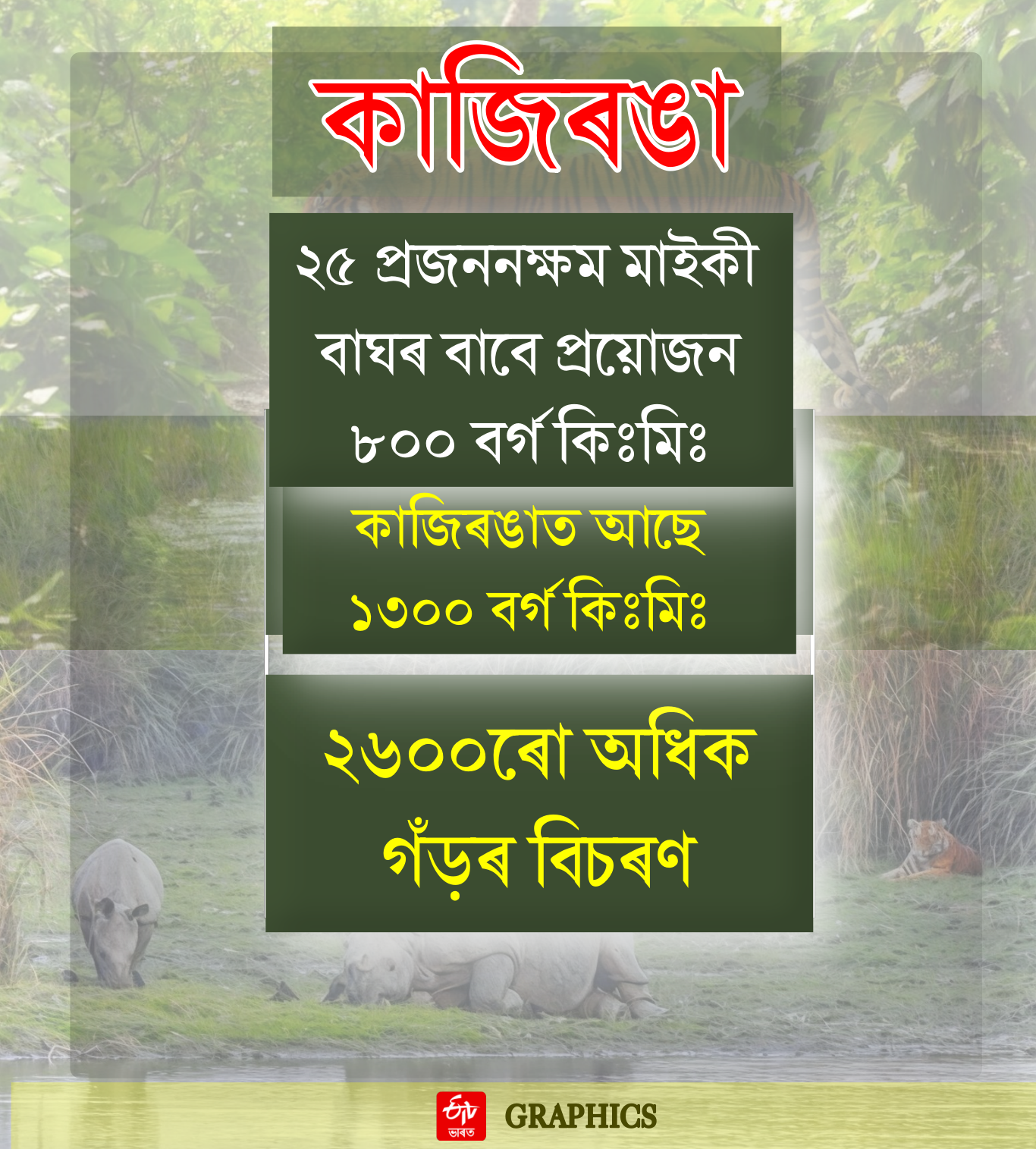 Tiger tourism in Kaziranga National Park