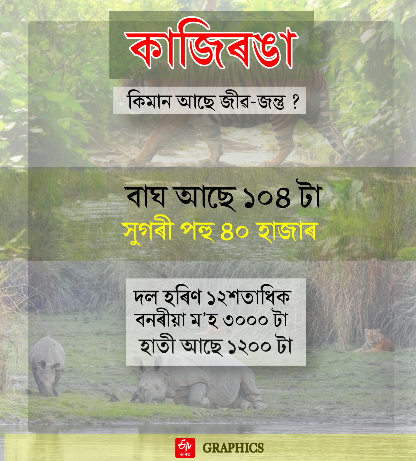 Tiger tourism in Kaziranga National Park