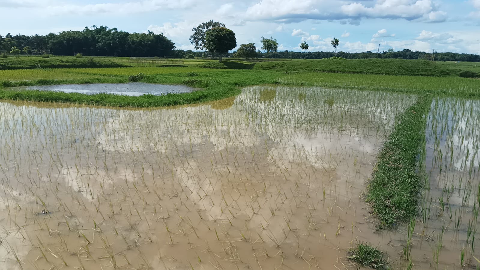 Historical Rahdhala pathar in Golaghat