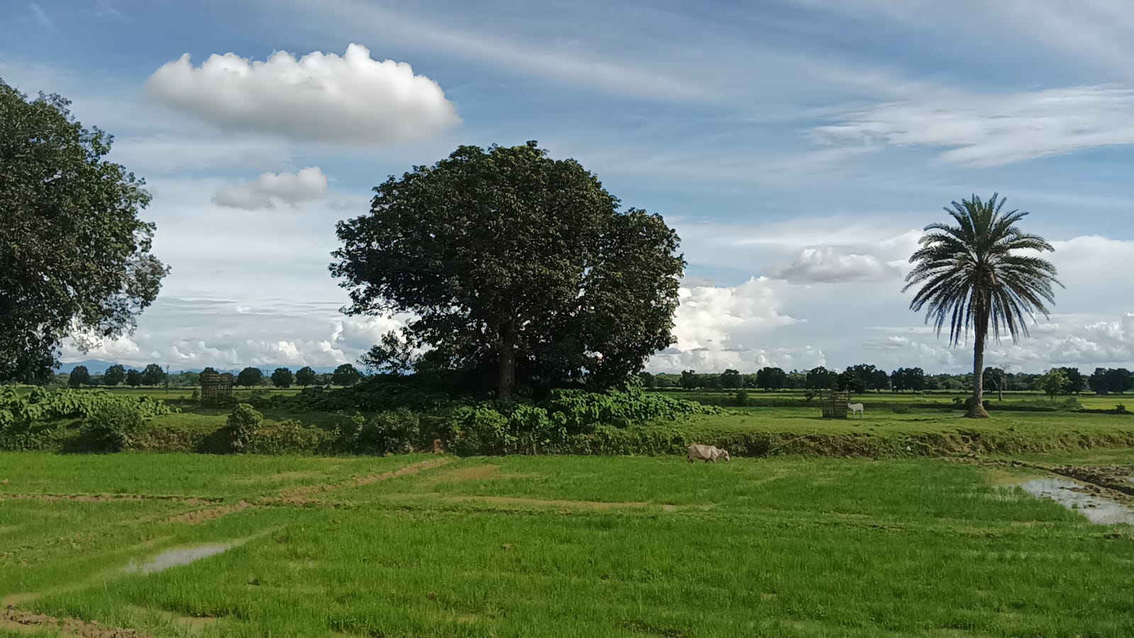 Historical Rahdhala pathar in Golaghat