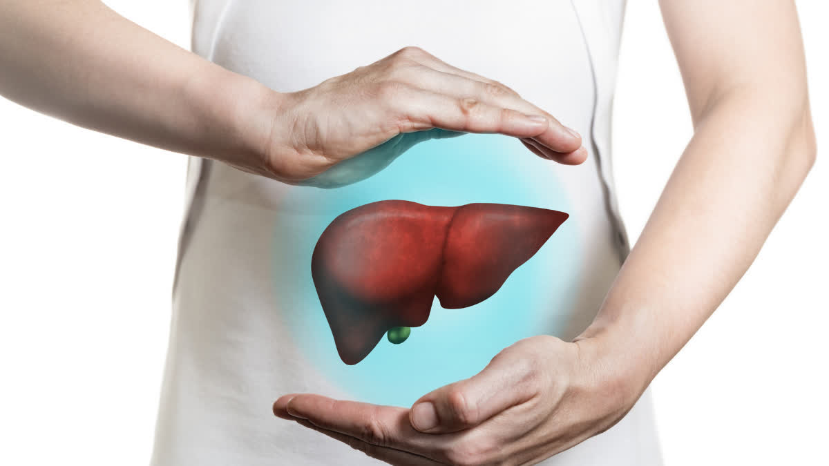 Any form of hepatitis is extremely dangerous for the liver; learn about its hidden symptoms and the precautions