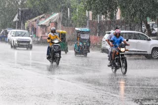 Rain Alert