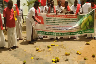கும்பகோணம் மா விவசாயிகள் போராட்டம்