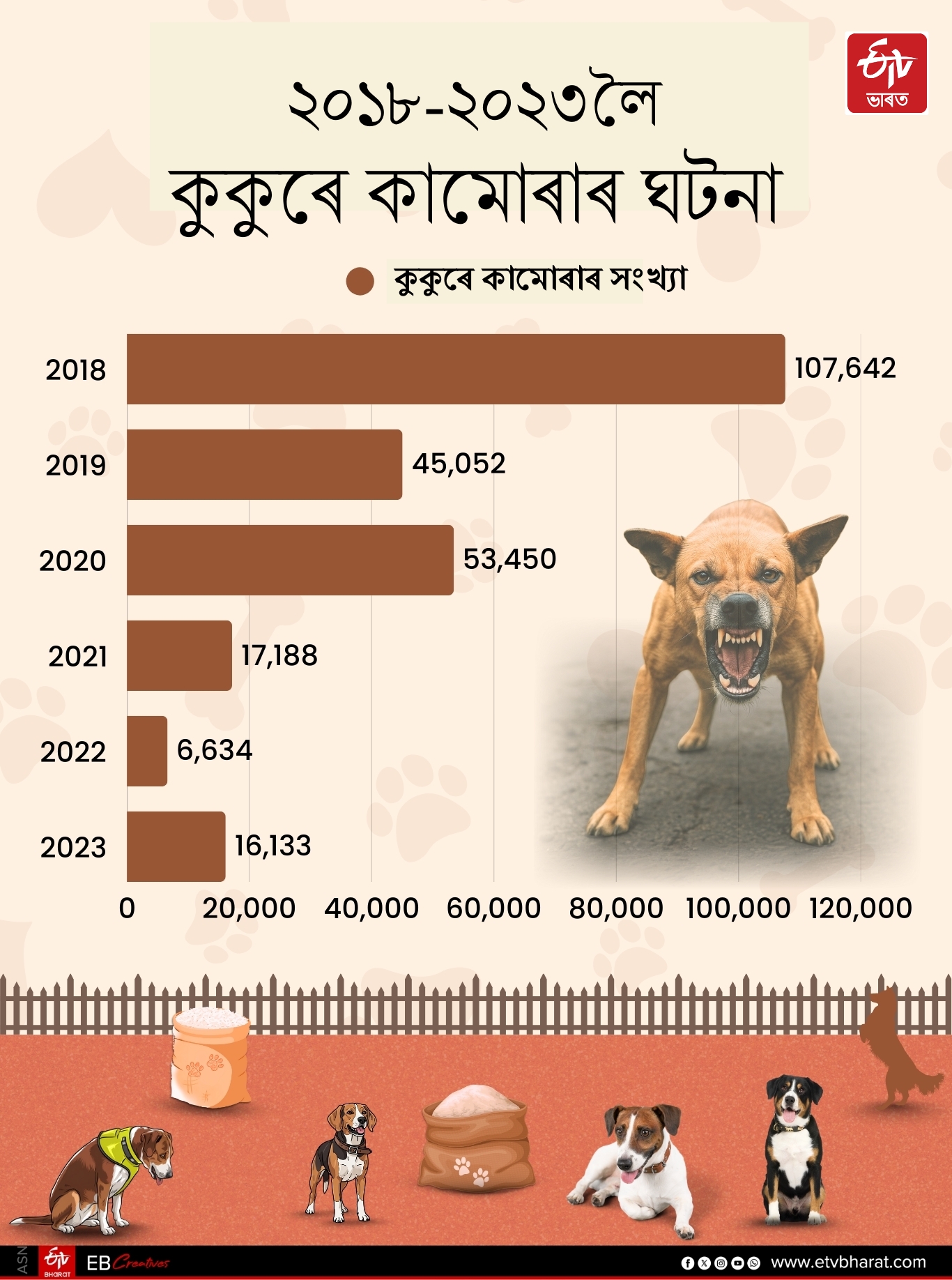 stray dogs problem in delhi and other states