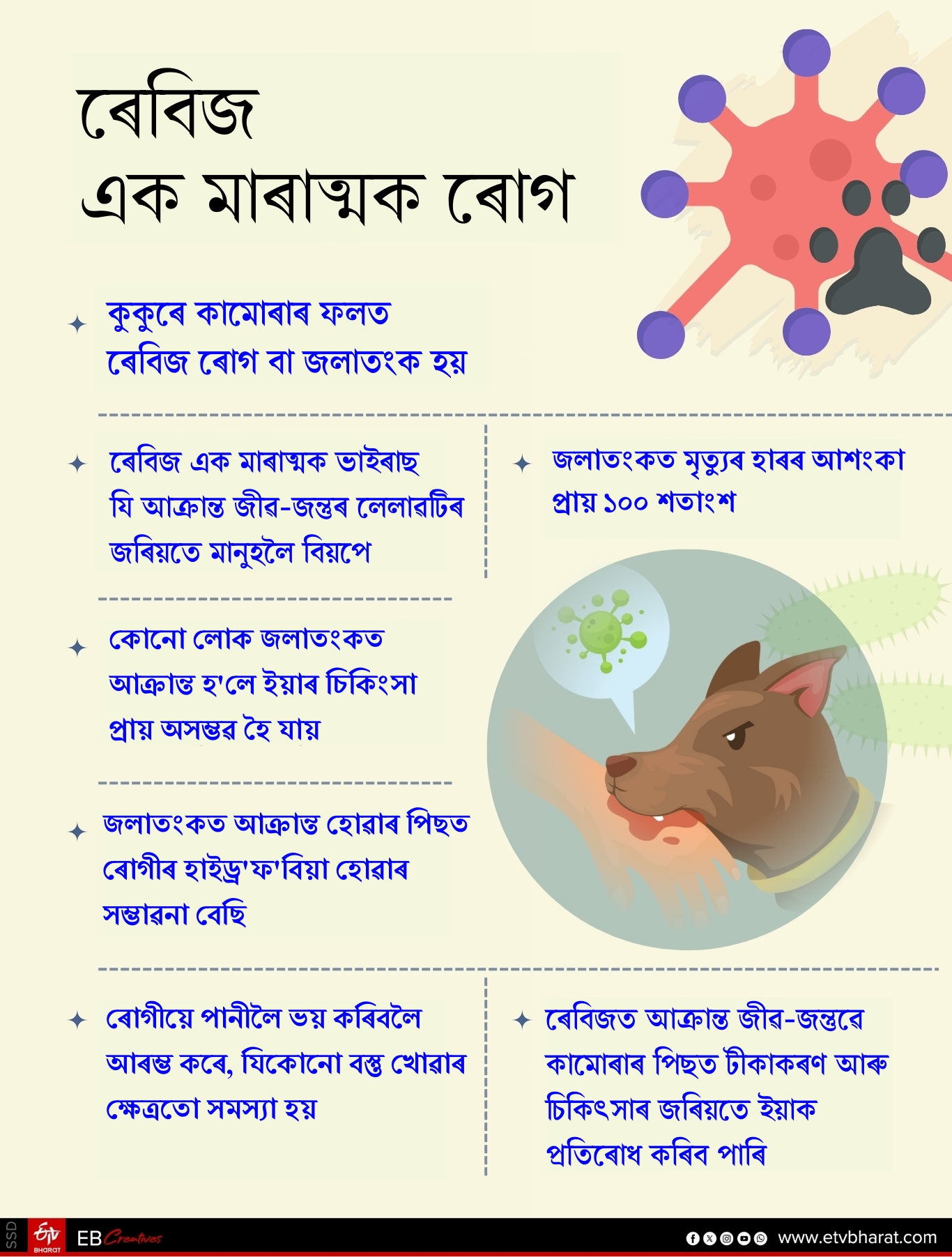 stray dogs problem in delhi and other states