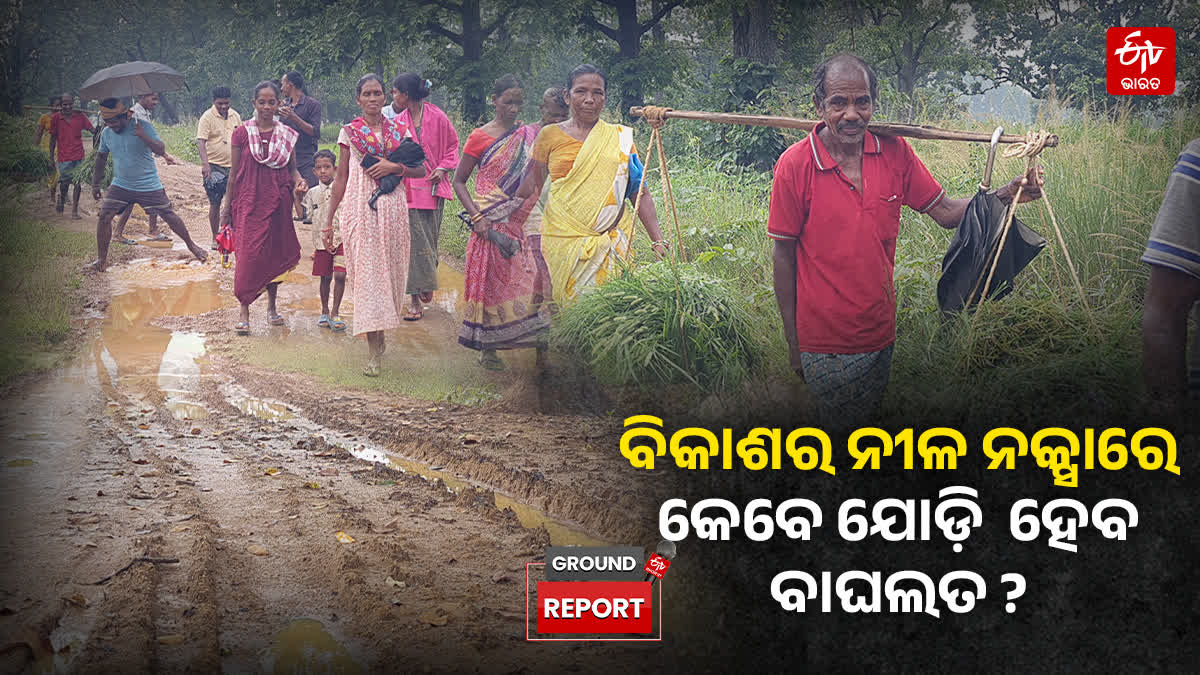 No Road No Ambulance  Pregnant Woman Carried 3 Km on Cot Amid Heavy Rain in Sambalpur baghalat village
