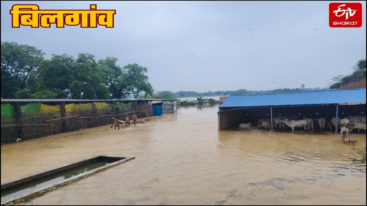 बाढ़-बारिश से हमीरपुर में हालात बिगड़े