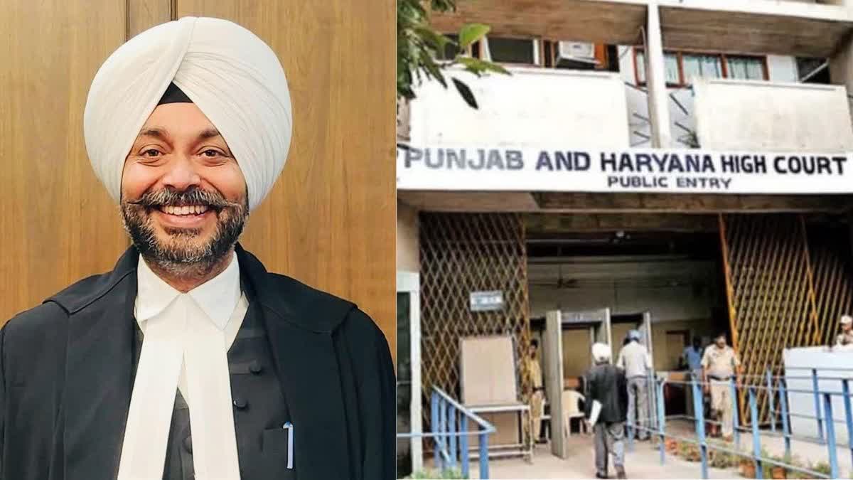 punjab haryana high court