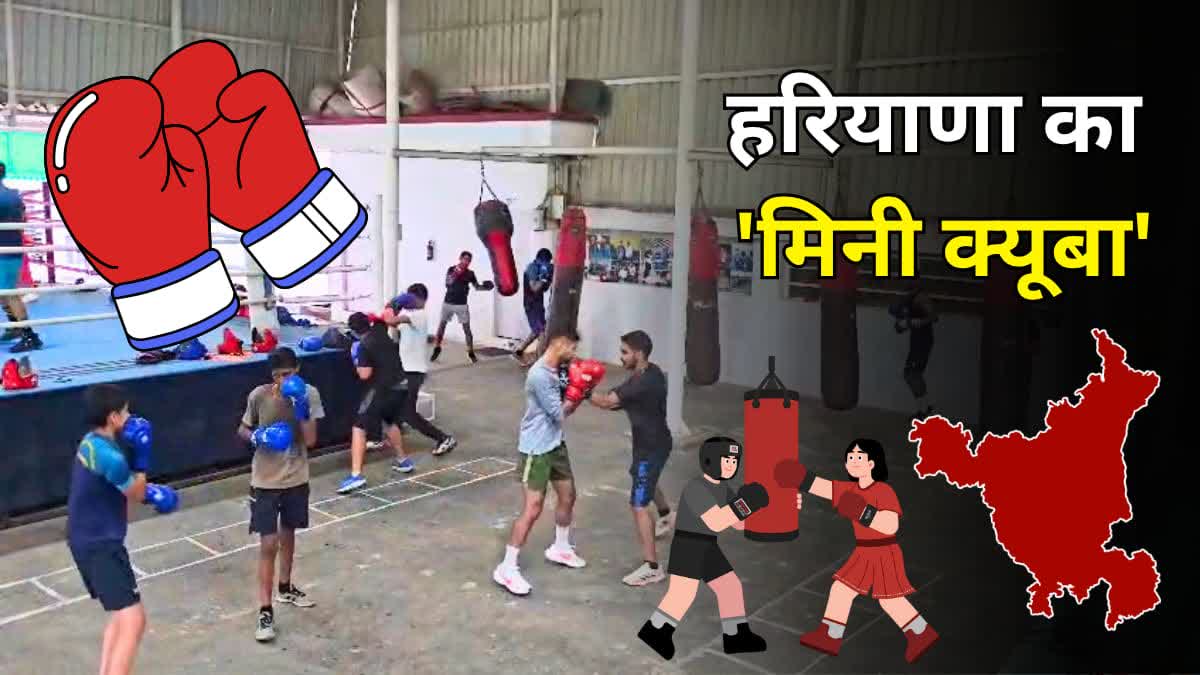 Bhiwani Boxing Mini Cuba