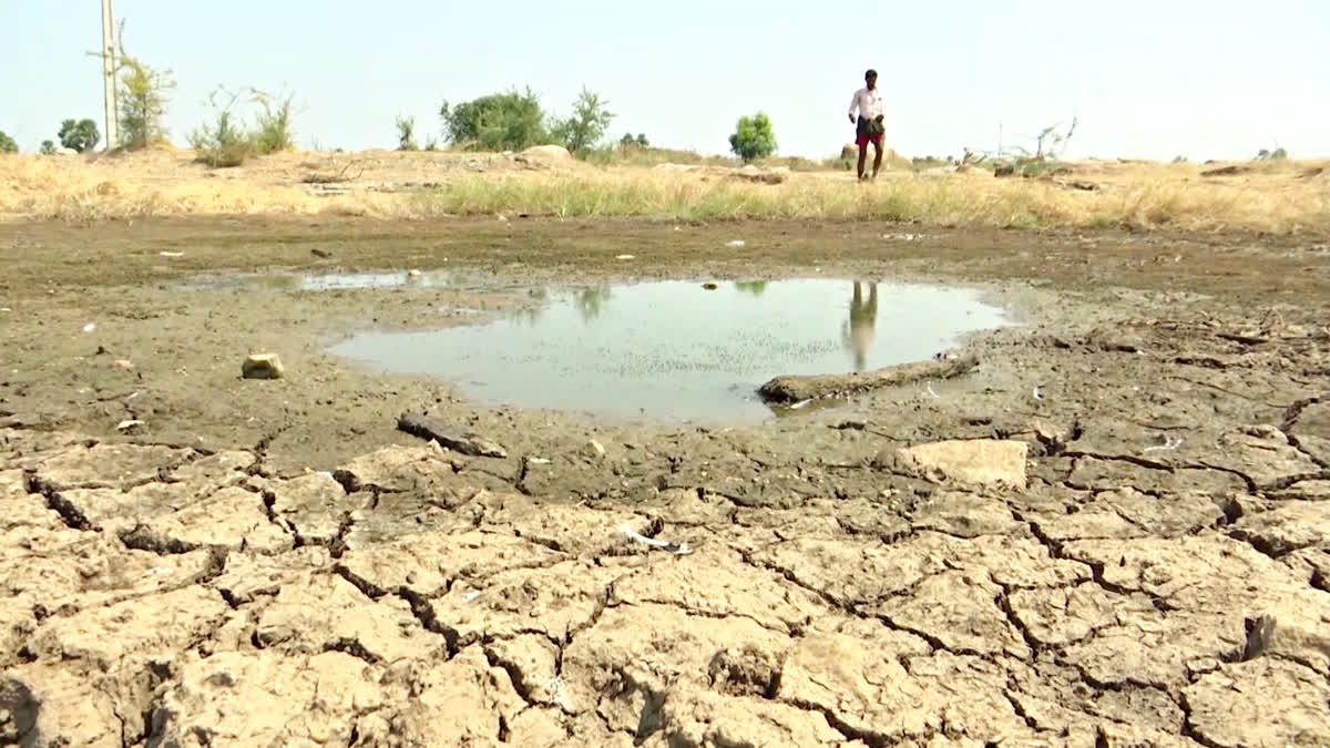 EL Nino impact on Telangana water Bodies