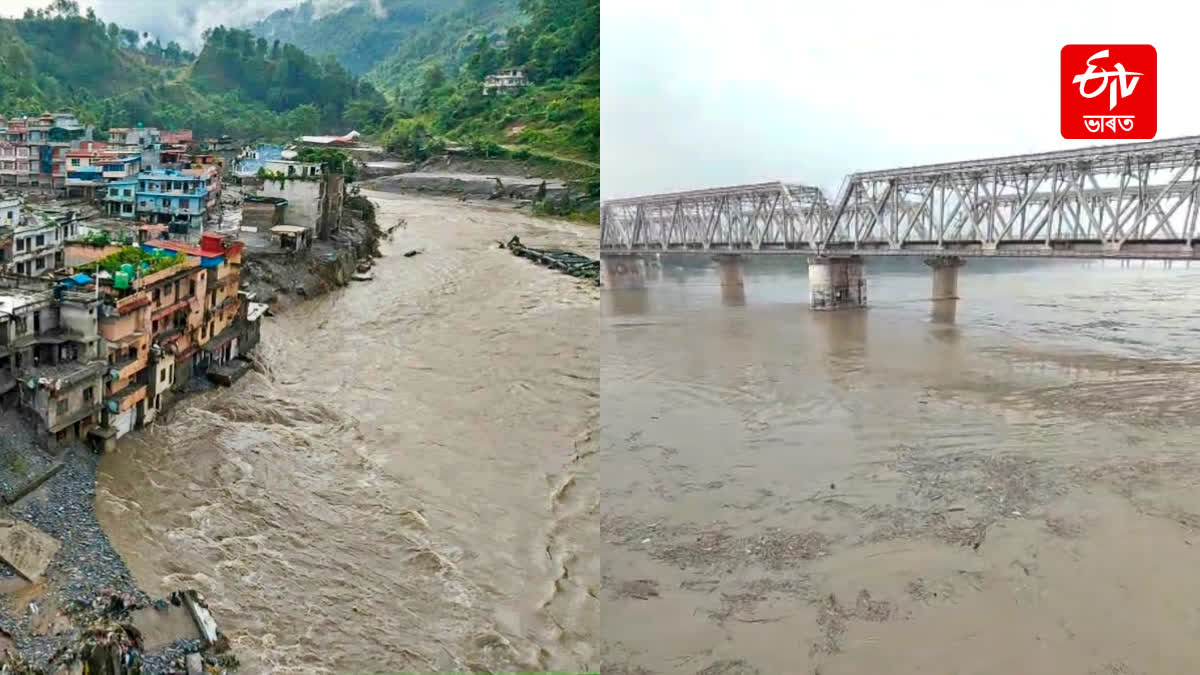 Nepal Flood Dead Bodies Floating In Gandak River In Hajipur