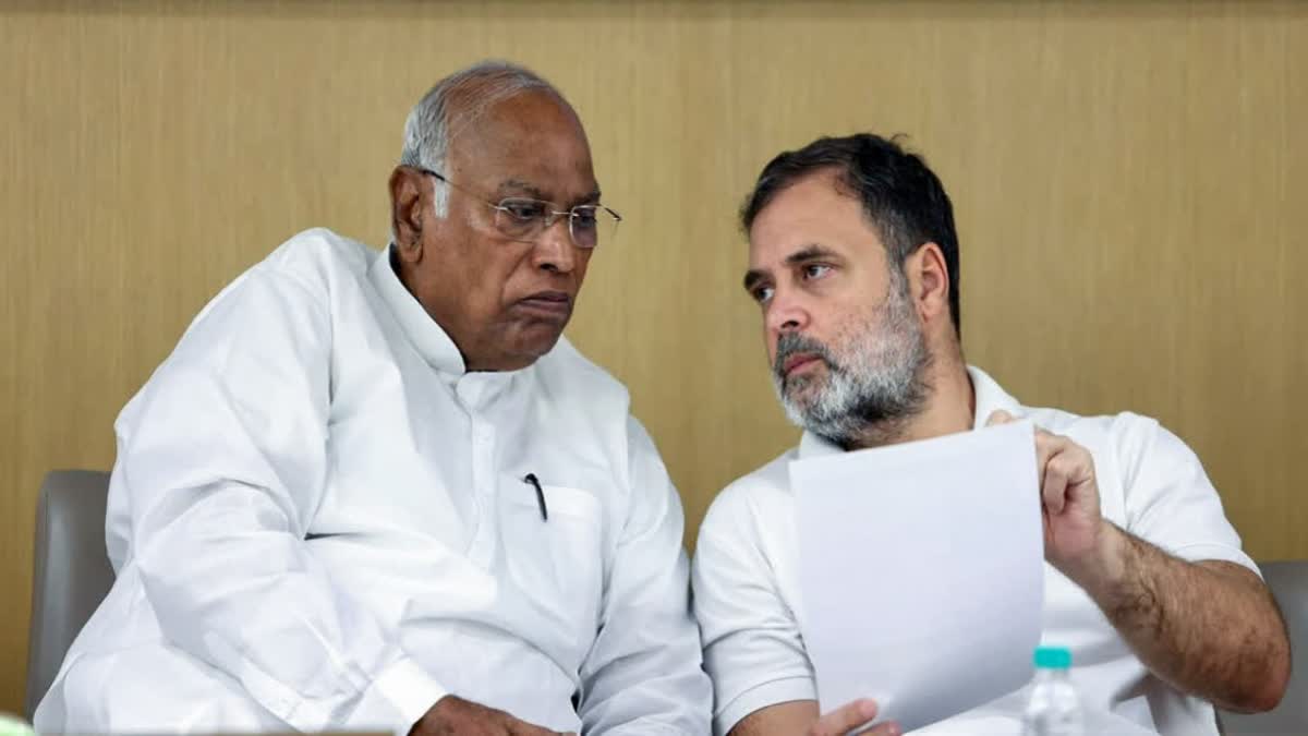 Rahul Gandhi on PM Modi
