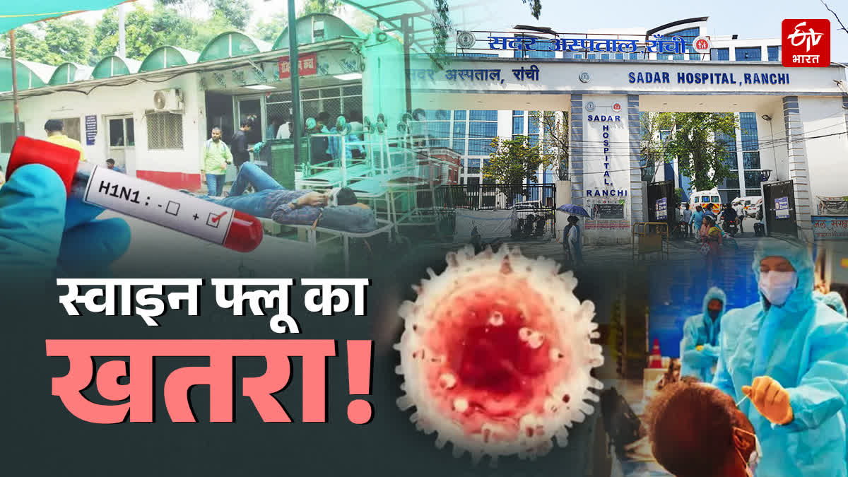 H1N1 swine flu