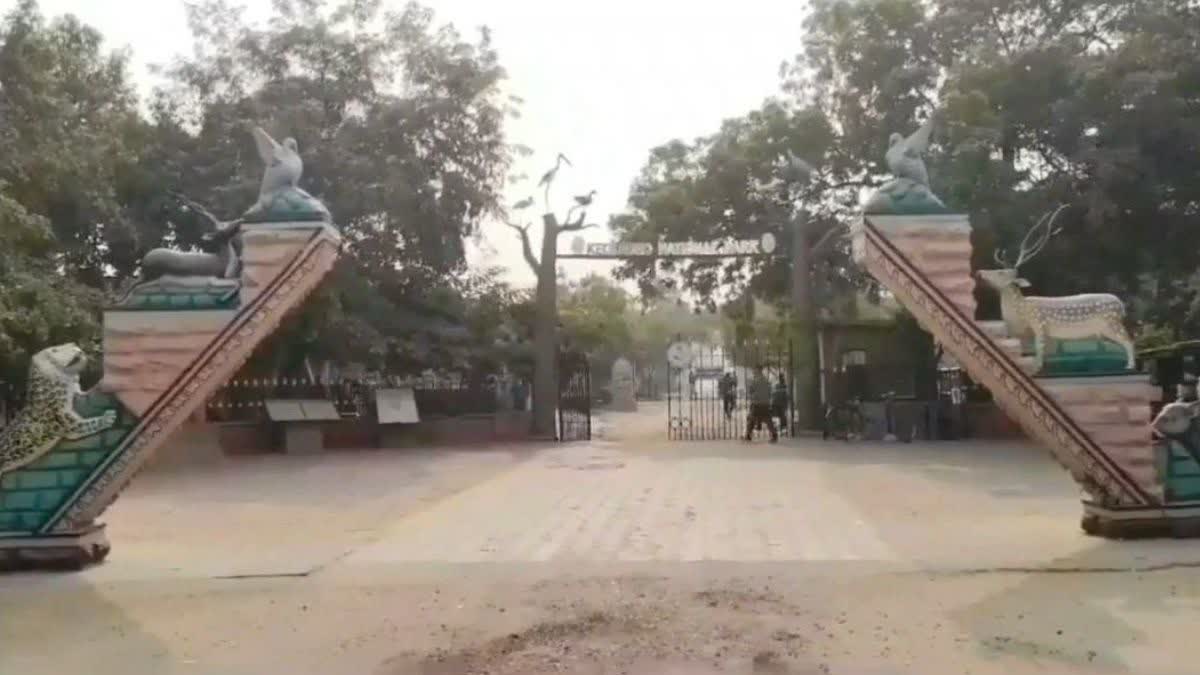 केवलादेव राष्ट्रीय उद्यान