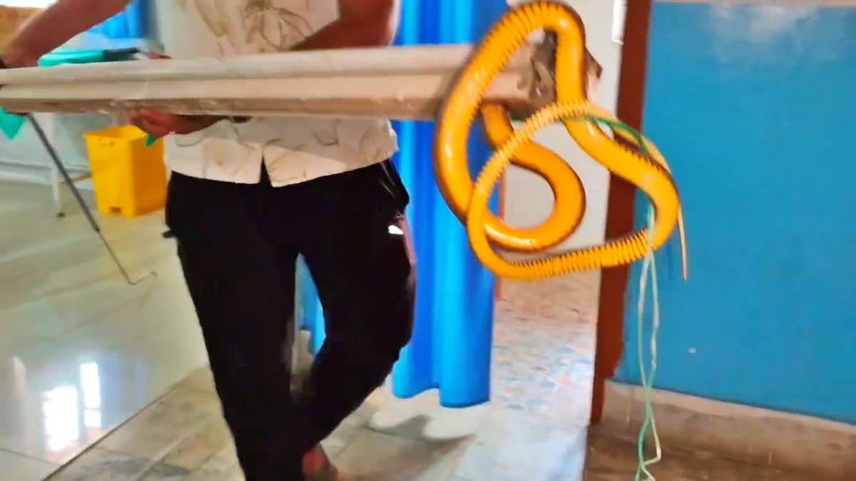 SNAKE IN OPERATION THEATRE