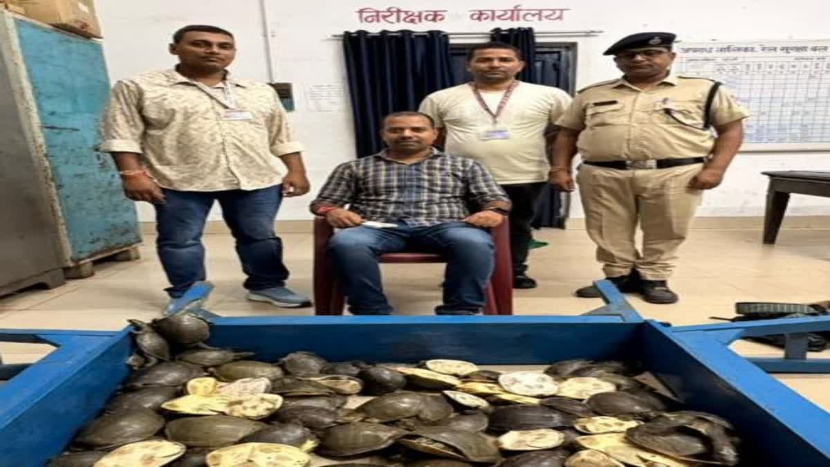 RPF team uncovered turtle smuggling via train route in Dhanbad