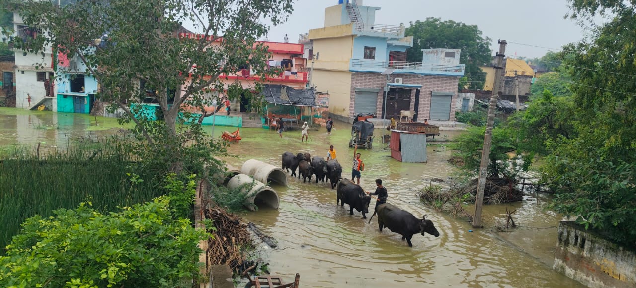 इचौली गांव में बस्ती के अंदर भरा पानी.
