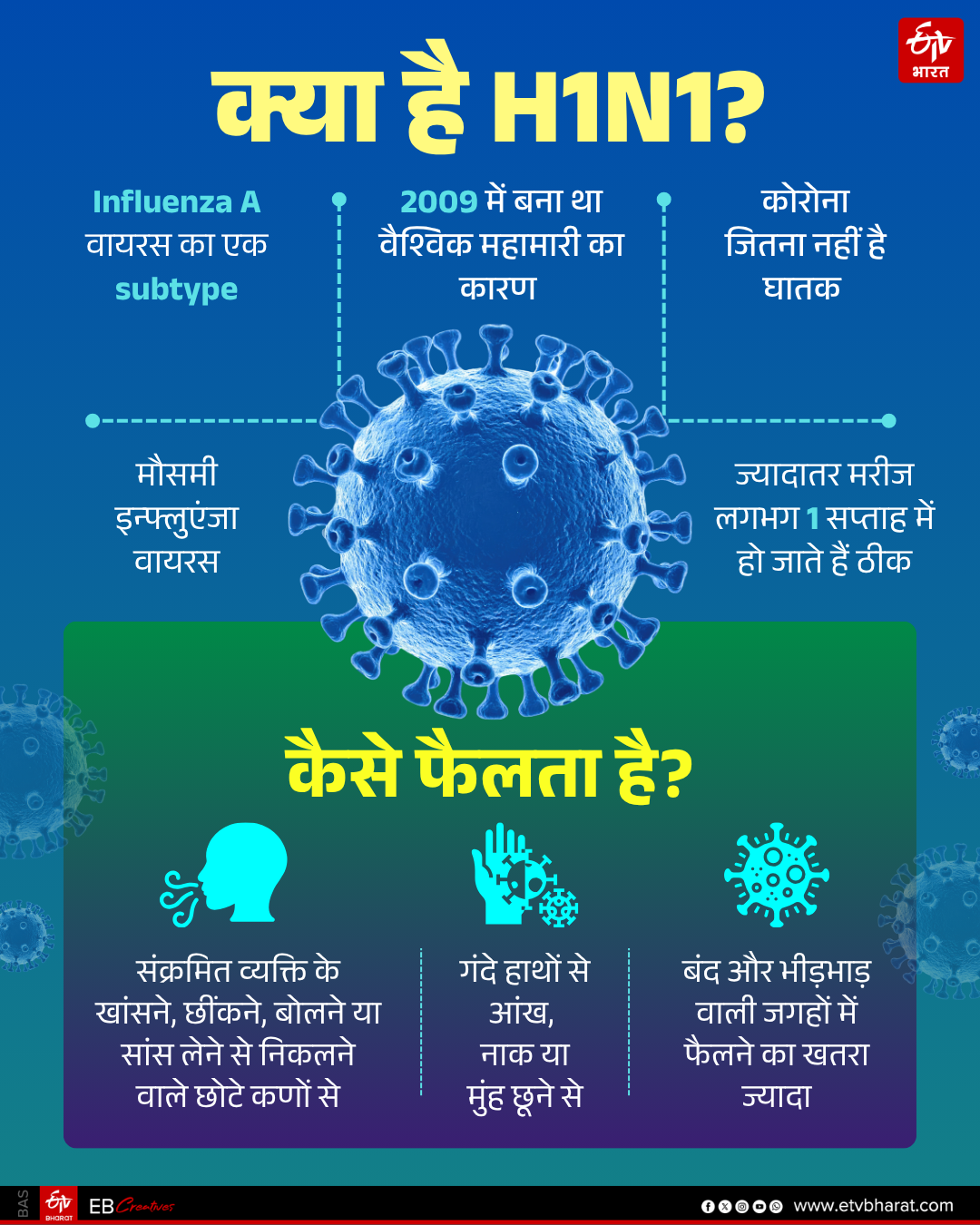 H1N1 swine flu