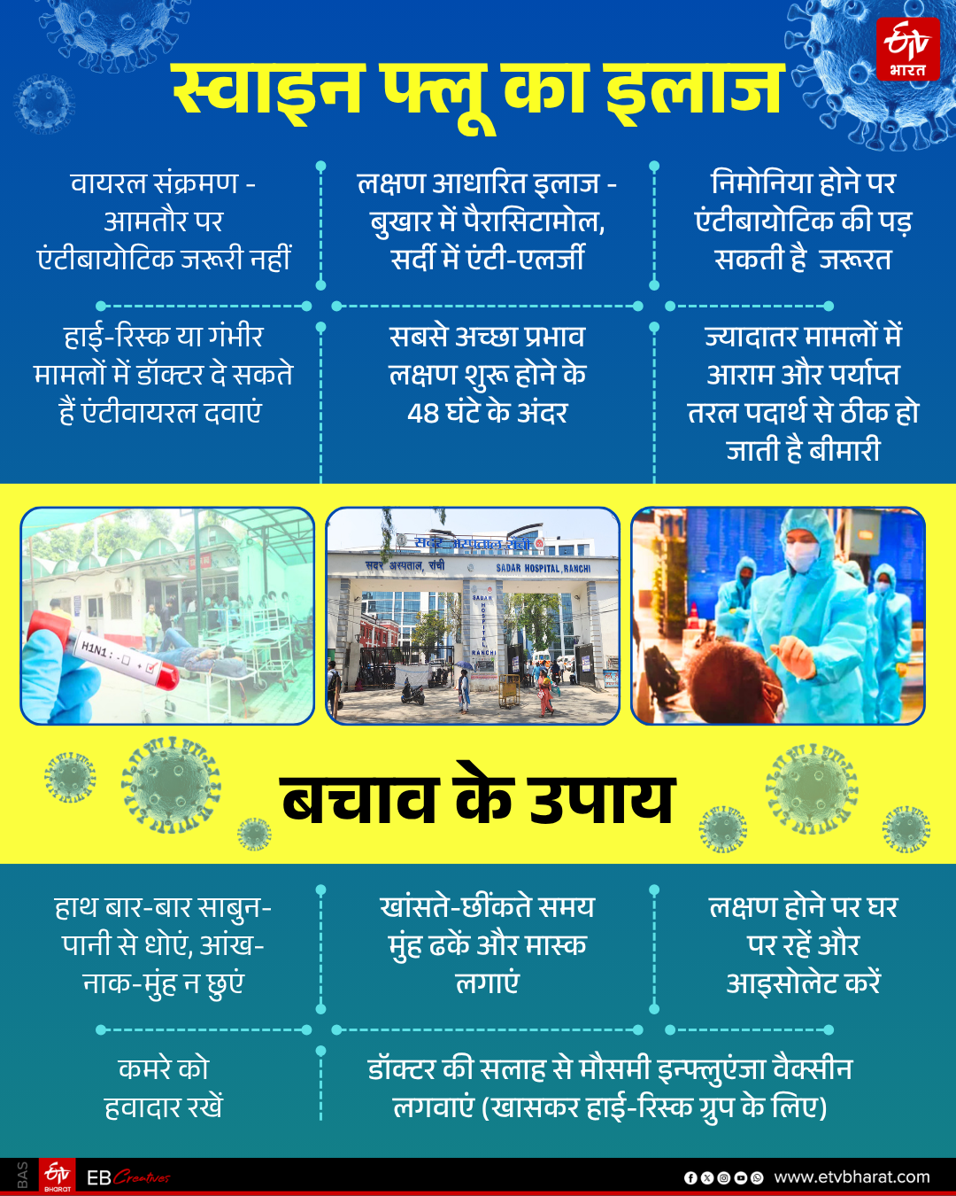 H1N1 swine flu