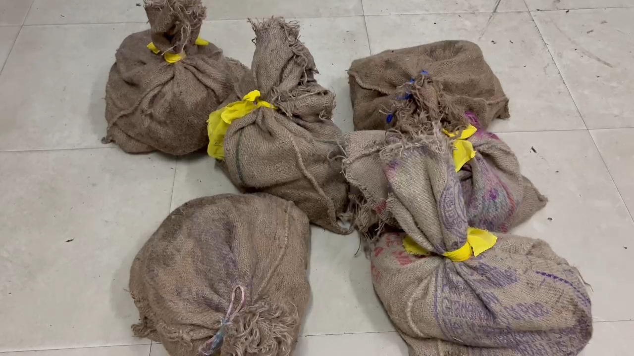 RPF team uncovered turtle smuggling via train route in Dhanbad