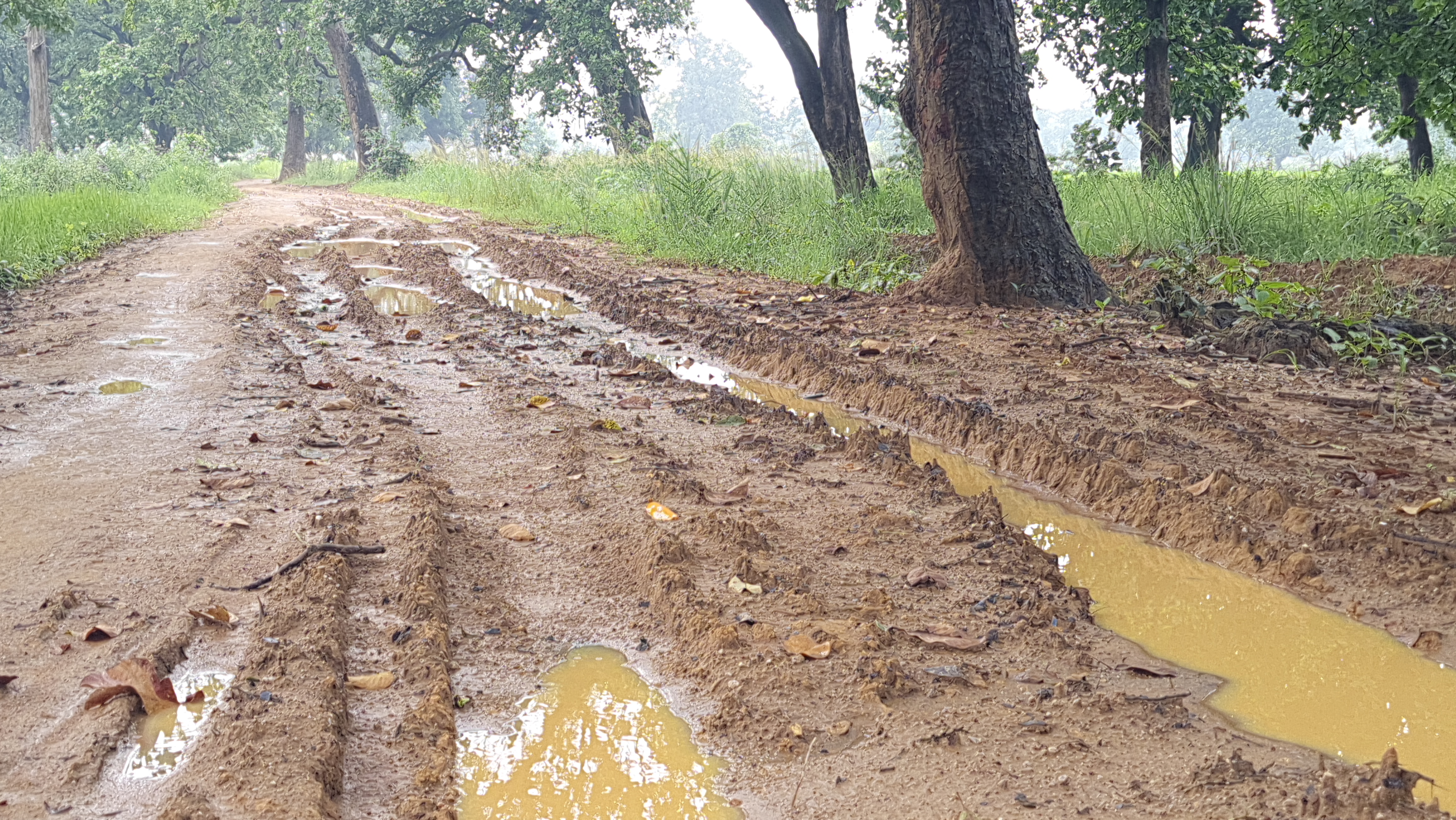 Baghalata Village Road